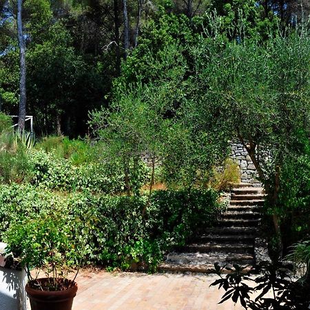 מונטה מרצ'לו B&B Al Cavalluccio Marino מראה חיצוני תמונה