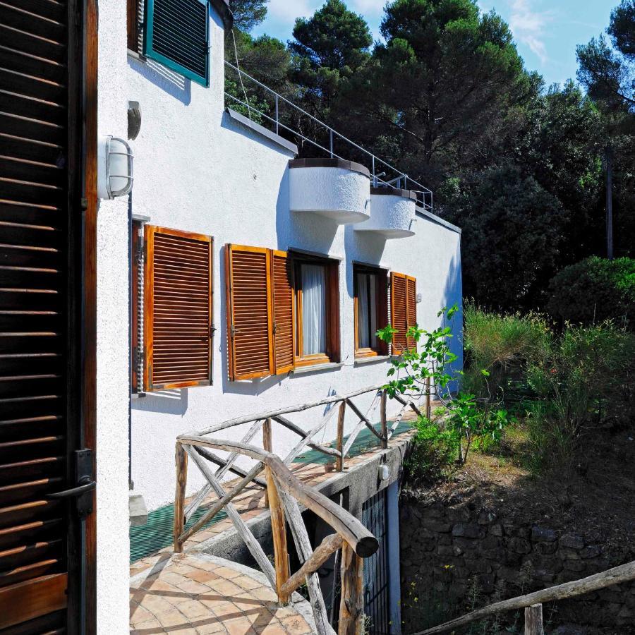 מונטה מרצ'לו B&B Al Cavalluccio Marino מראה חיצוני תמונה