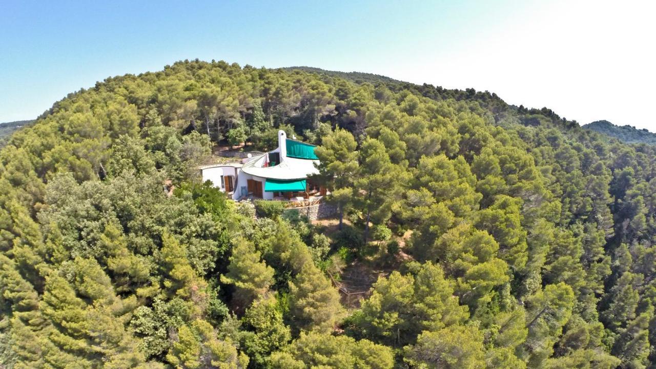 מונטה מרצ'לו B&B Al Cavalluccio Marino מראה חיצוני תמונה